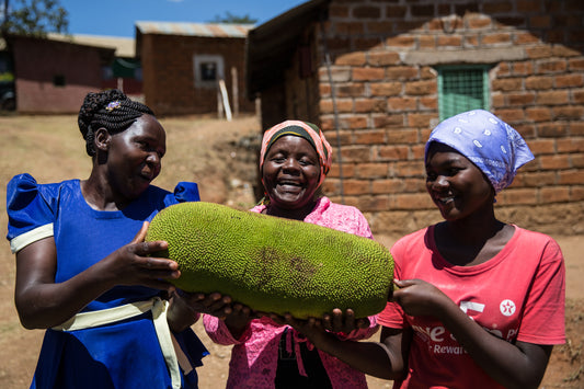 Mr. Jackfruit: The Worlds Most Natural and Empowering Fruit